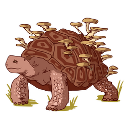 Ilustraciones de tortugas y hongos Diseño PNG