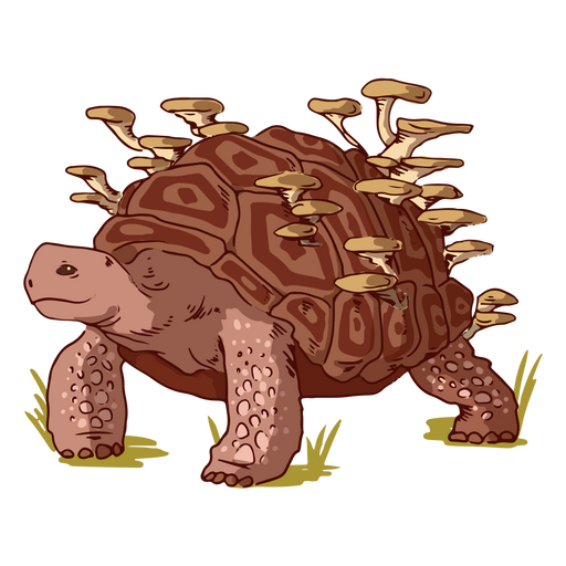 Illustrationen von Schildkröten und Pilzen PNG-Design