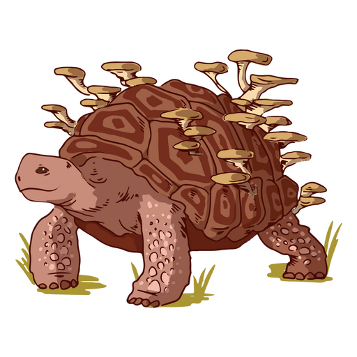 Ilustraciones de tortugas y hongos Diseño PNG