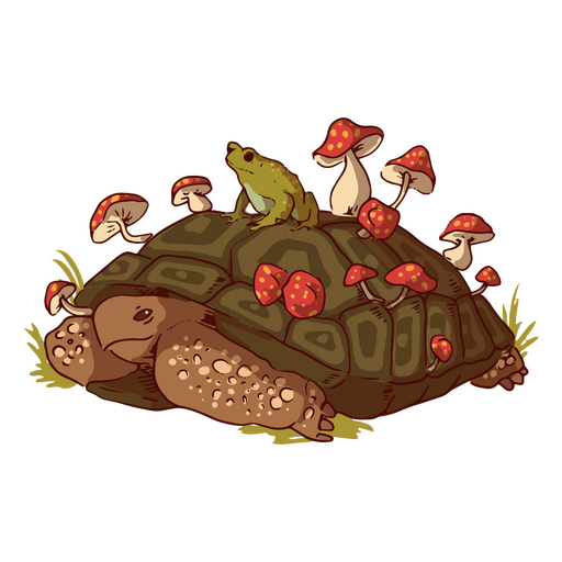 Ilustración de tortuga y rana Diseño PNG