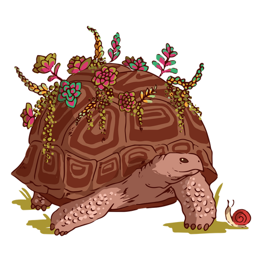 Blumenschildkrötenillustration PNG-Design