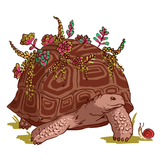 Ilustraci?n de tortuga floral Diseño PNG