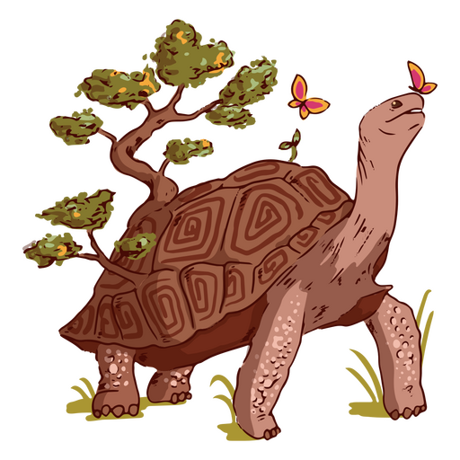 Ilustración de tortugas y mariposas Diseño PNG