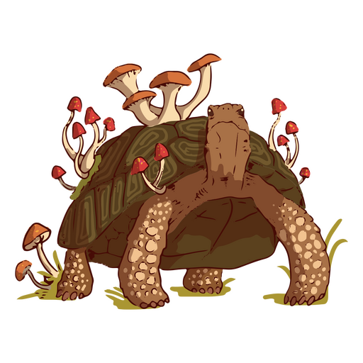 Ilustración de tortuga con setas Diseño PNG