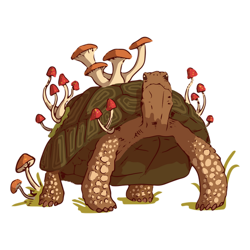 Turtle with mushrooms illustration PNG Design