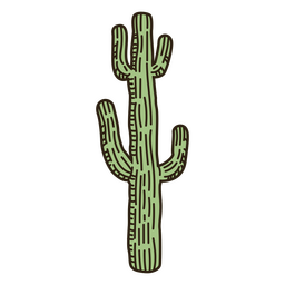 Wild west green cactus color stroke PNG Design