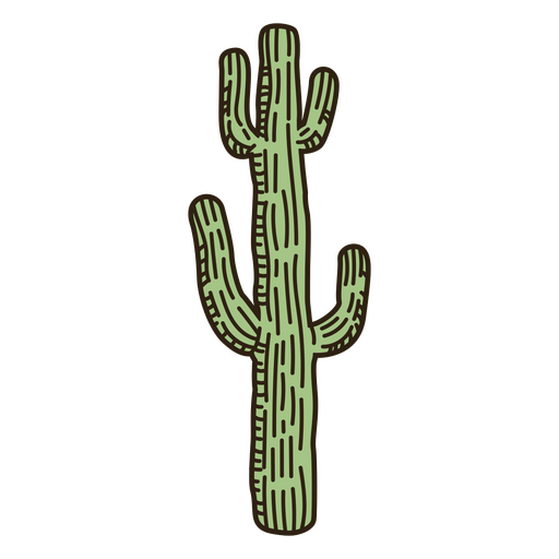Wildwest-gr?ner Kaktus-Farbstrich PNG-Design