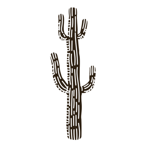 Planta de cactus del salvaje oeste cortada Diseño PNG