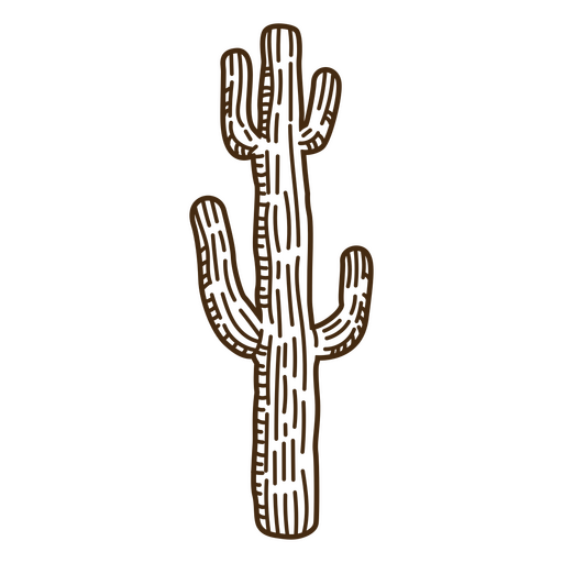 Cactus PNG Designs for T Shirt & Merch