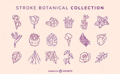 Botanical flowers and leaves stroke set