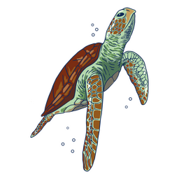 Ilustración de tortuga marina nadando