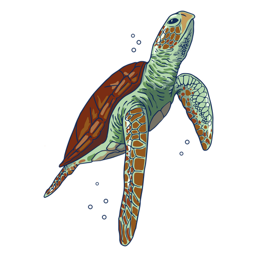 Ilustraci?n de tortuga marina nadando Diseño PNG