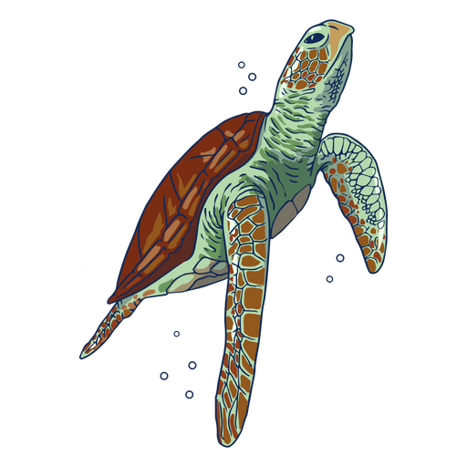 Sea turtle illustration swimming up PNG Design