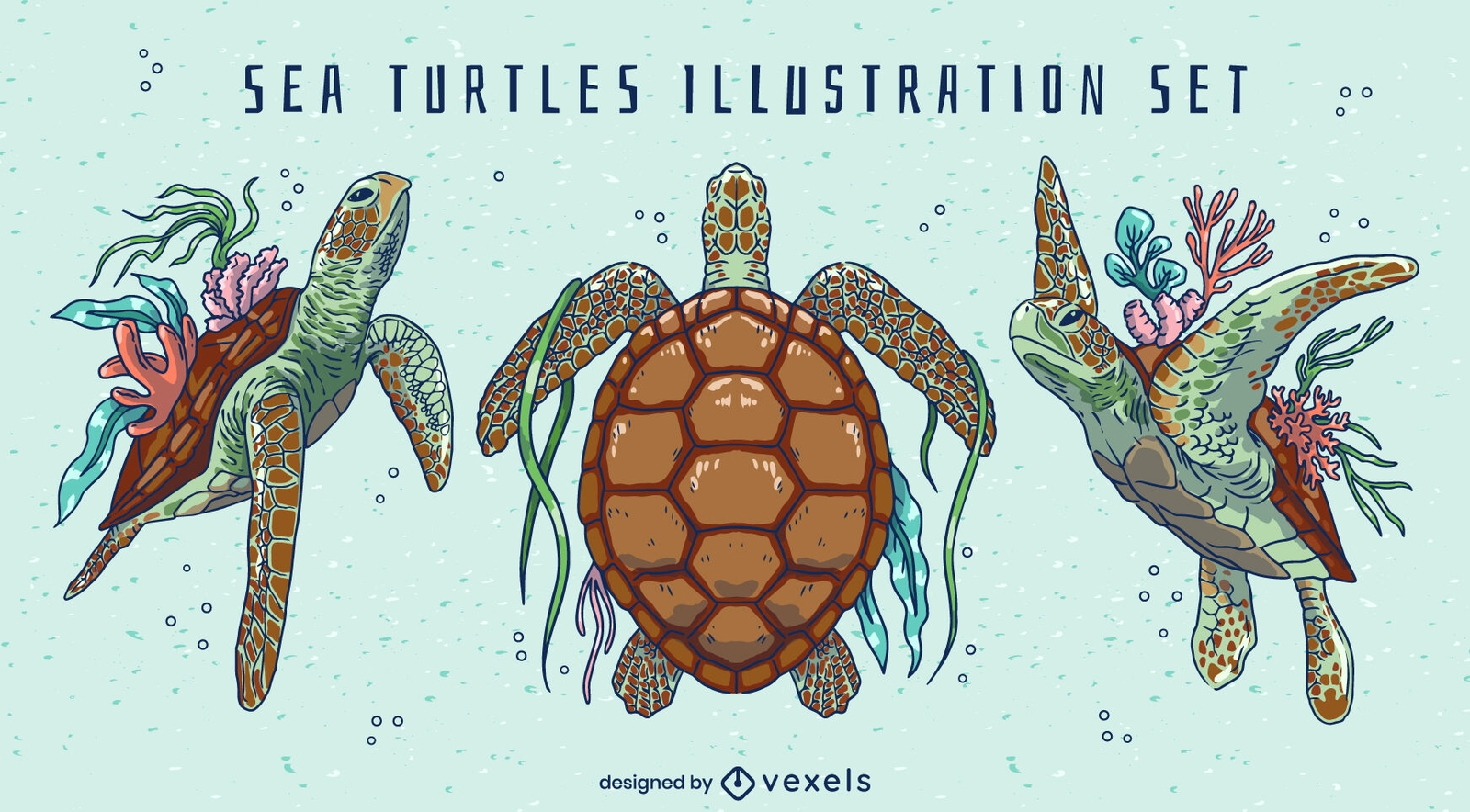 Conjunto de naturaleza de natación de animales de tortuga marina