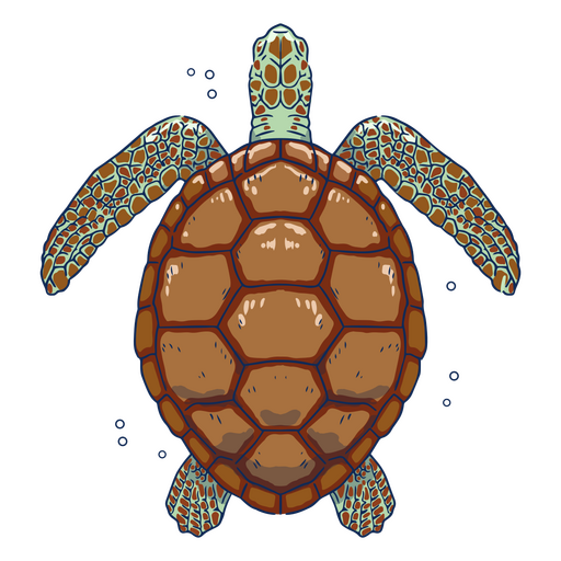 Ilustraci?n de tortuga marina desde arriba Diseño PNG