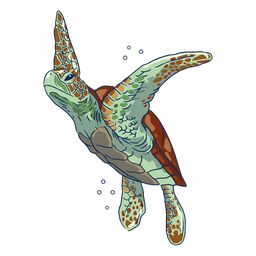 Sea turtle in water illustration PNG Design Transparent PNG