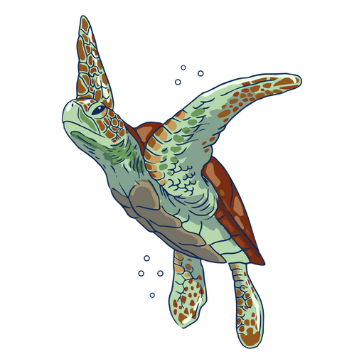 Ilustración de tortuga marina en agua Diseño PNG