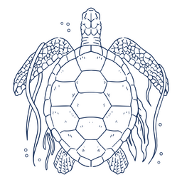 Tartaruga marinha com algas do curso superior Desenho PNG