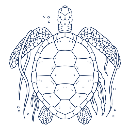 Tortuga marina con algas del trazo superior Diseño PNG