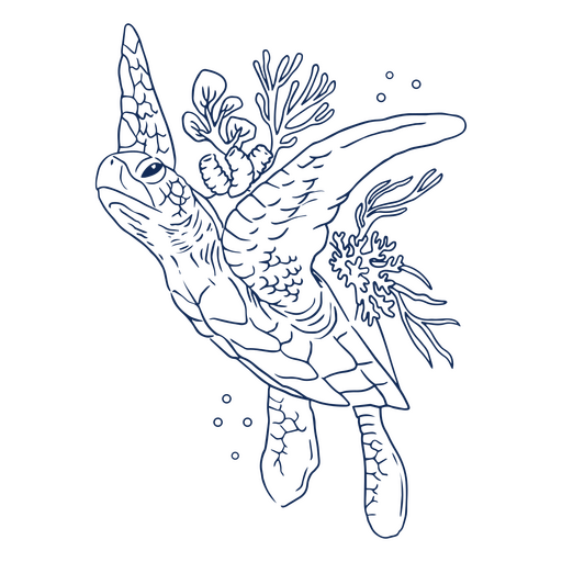Sea turtle in water with algae stroke PNG Design