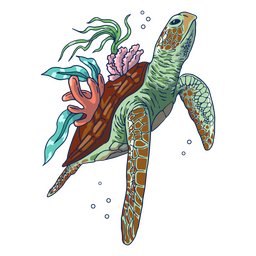 Sea turtle with algae swimming up illustration PNG Design Transparent PNG