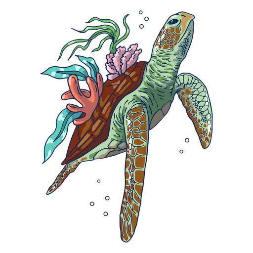 Tortuga marina con algas nadando ilustraci?n Diseño PNG