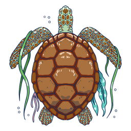 Sea turtle with algae from top illustration PNG Design Transparent PNG