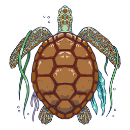 Tartaruga marinha com algas da ilustração superior Desenho PNG