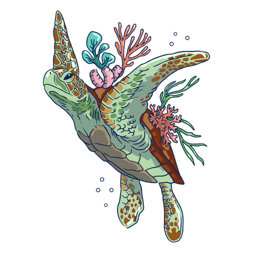 Sea turtle in water with algae illustration PNG Design