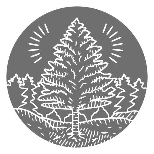 Pine tree natural element cut out