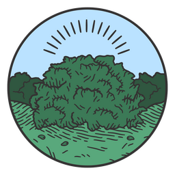 Busch Pflanzenelement Farbstrich PNG-Design