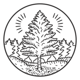Trazo de elemento natural de pino Diseño PNG