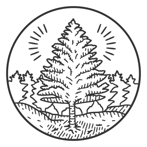 Curso de elemento natural de pinheiro Desenho PNG