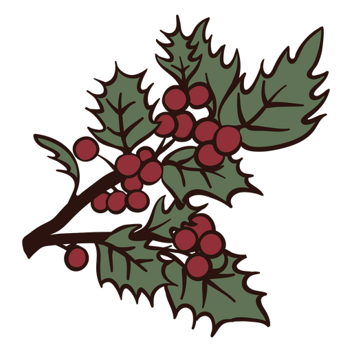 Mistletoe color stroke PNG Design