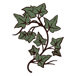 Solsticio de trazo de color hiedra Diseño PNG