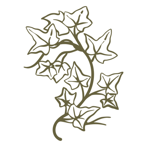 Ivy leaves and branch element stroke PNG Design