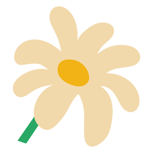 Flaches Gänseblümchen der weißen Blume PNG-Design