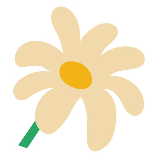 Margarida plana de flor branca Desenho PNG