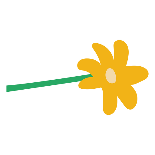Yellow daisy flat stem