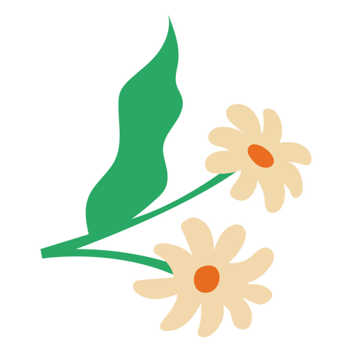 Paar weiße flache Blumen Gänseblümchen PNG-Design