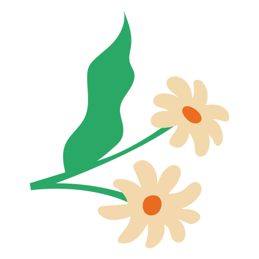 Paar wei?e flache Blumen G?nsebl?mchen PNG-Design