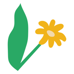 Gänseblümchen und flache gelbe Blume des Blattes PNG-Design