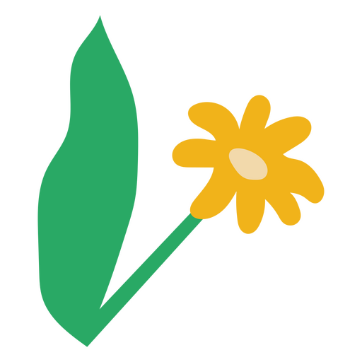 Daisy and leaf flat yellow flower PNG Design