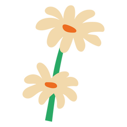 Dos margaritas blancas planas Diseño PNG