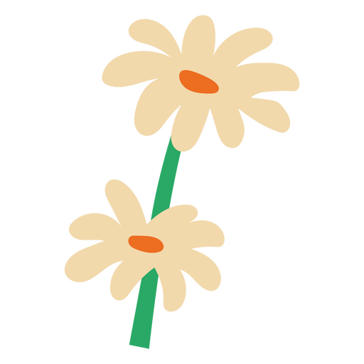 Two daisies flat white