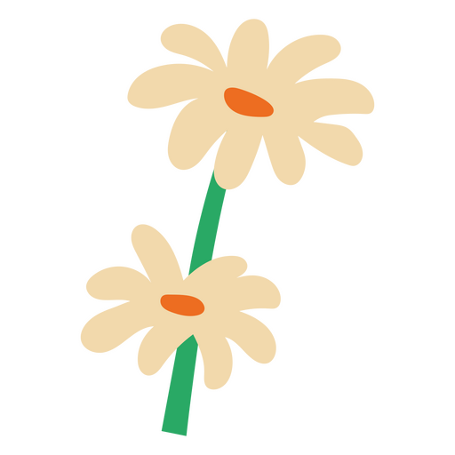 Zwei Gänseblümchen flach weiß PNG-Design