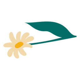 Margarida plana de flor e folha Desenho PNG