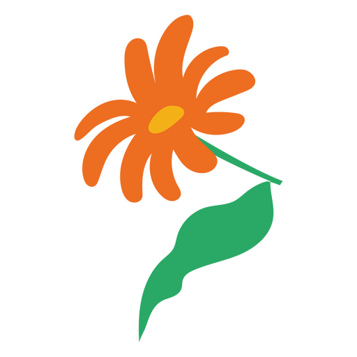 Laranja de margarida plana de flor e folha Desenho PNG