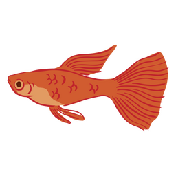 Golden fish swimming semi flat PNG Design Transparent PNG