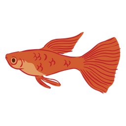 Goldener Fisch, der halb flach schwimmt PNG-Design